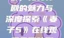 妻子5在线观看，免费韩剧的魅力与深度探索《妻子5》在线观看免费韩剧全集
