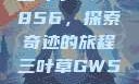 三叶草GW5856，探索奇迹的旅程三叶草GW5856