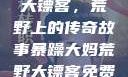 暴躁大妈荒野大镖客，荒野上的传奇故事暴躁大妈荒野大镖客免费观看