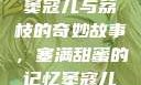 窦寇儿与荔枝的奇妙故事，塞满甜蜜的记忆窦寇儿