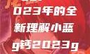 探索小蓝g钙与ggy钙，2023年的全新理解小蓝g钙2023ggy钙2023的功能介绍