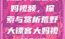 荒野大镖客大妈视频，探索与赏析荒野大镖客大妈视频剧情