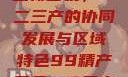 探索中国产业新面貌，一二三产的协同发展与区域特色99精产国品一二三产区区观看