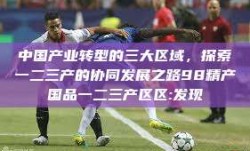 中国产业转型的三大区域，探索一二三产的协同发展之路98精产国品一二三产区区:发现