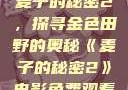 麦子的秘密2，探寻金色田野的奥秘《麦子的秘密2》电影免费观看