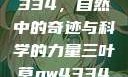 三叶草GW4334，自然中的奇迹与科学的力量三叶草gw4334官网