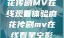 星空下的麻花传剧MV在线观看体验麻花传剧mv在线看星空影视评价