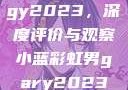 宏翔小蓝视频gy2023，深度评价与观察小蓝彩虹男gary2023的音乐作品