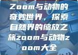 Zoom与动物的奇妙世界，探索自然界的缩放之旅zoom与动物zoom大全