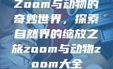 Zoom与动物的奇妙世界，探索自然界的缩放之旅zoom与动物zoom大全
