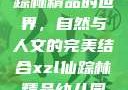 探索XZL仙踪林精品的世界，自然与人文的完美结合xzl仙踪林精品幼儿园的课程设置