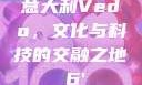 意大利Vedo，文化与科技的交融之地с6'