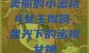 美丽的小蜜桃4女主揭晓，星光下的蜜桃女神