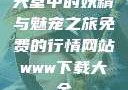 天堂中的妖精与魅宠之旅免费的行情网站www下载大全