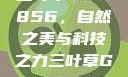 三叶草GW5856，自然之美与科技之力三叶草GW5856