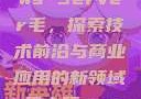 日本Windows Server毛，探索技术前沿与商业应用的新领域日本玩csgo的妹子