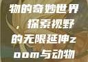 Zoom与动物的奇妙世界，探索视野的无限延伸zoom与动物zoom大全