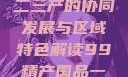 探索中国产业新篇章，一二三产的协同发展与区域特色解读99精产国品一二三产区区观看
