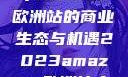 揭秘2023年Amazon欧洲站的商业生态与机遇2023amazon欧洲站大长颈