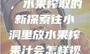 小洞与果汁，水果榨取的新探索往小洞里放水果榨果汁会怎样视频