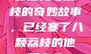 窦寇儿与荔枝的奇妙故事，已经塞了八颗荔枝的他窦寇儿