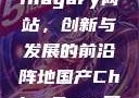 探索国产Chinagary网站，创新与发展的前沿阵地国产ChinaGary网站小鲜肉