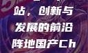 探索国产Chinagary网站，创新与发展的前沿阵地国产ChinaGary网站小鲜肉