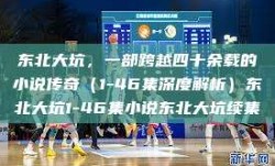 东北大坑，一部跨越四十余载的小说传奇（1-46集深度解析）东北大坑1-46集小说东北大坑续集