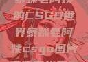 暴躁老阿姨的CSGO世界暴躁老阿姨csgo图片高清在线观看