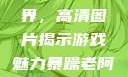 暴躁老阿姨的CSGO世界，高清图片揭示游戏魅力暴躁老阿姨csgo图片高清在线观看
