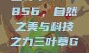 三叶草GW5856，自然之美与科技之力三叶草GW5856
