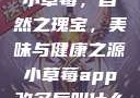 小草莓，自然之瑰宝，美味与健康之源小草莓app改名后叫什么