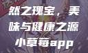 小草莓，自然之瑰宝，美味与健康之源小草莓app改名后叫什么