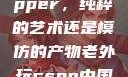 黑人双人rapper，纯粹的艺术还是模仿的产物老外玩csgo中国的妹子