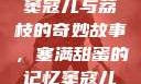窦寇儿与荔枝的奇妙故事，塞满甜蜜的记忆窦寇儿