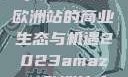 揭秘2023年Amazon欧洲站的商业生态与机遇2023amazon欧洲站大长颈