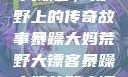 暴躁大妈荒野大镖客，荒野上的传奇故事暴躁大妈荒野大镖客暴躁大妈荒野大镖客免费