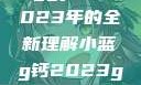 探索小蓝g钙与ggy钙，2023年的全新理解小蓝g钙2023ggy钙2023的功能介绍