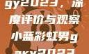 宏翔小蓝视频gy2023，深度评价与观察小蓝彩虹男gary2023的音乐作品