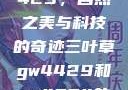 三叶草GW4429，自然之美与科技的奇迹三叶草gw4429和gw4334的外观对比