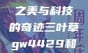 三叶草GW4429，自然之美与科技的奇迹三叶草gw4429和gw4334的外观对比