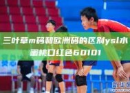 三叶草m码和欧洲码的区别ysl水蜜桃口红色60101
