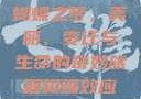 蝴蝶之梦，美丽、变迁与生命的奇妙旅程蝴蝶效应