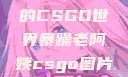 暴躁老阿姨的CSGO世界暴躁老阿姨csgo图片高清在线观看