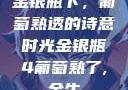 金银瓶下，葡萄熟透的诗意时光金银瓶4葡萄熟了,金牛