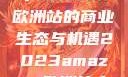 揭秘2023年Amazon欧洲站的商业生态与机遇2023amazon欧洲站大长颈