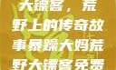 暴躁大妈荒野大镖客，荒野上的传奇故事暴躁大妈荒野大镖客免费观看