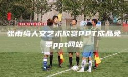 张雨绮人文艺术欣赏PPT成品免费ppt网站