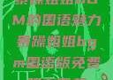 暴躁姐姐BGM的国语魅力暴躁姐姐bgm国语版免费观看下载