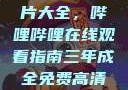 免费观看三年片大全，哔哩哔哩在线观看指南三年成全免费高清大全